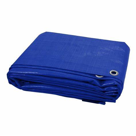 [21306] TOLDO AZUL 16X20"