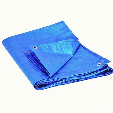 [2962] TOLDO AZUL 8X10"