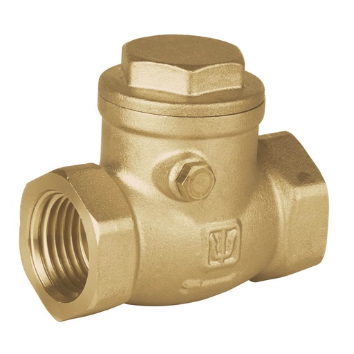[48510] VALVULA DE RETENCION TIPO HORIZONTAL 1/2 FOSET